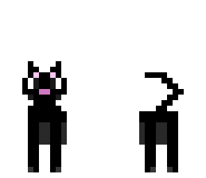 black cat