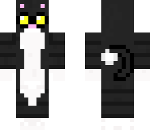 edited cat 