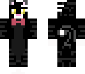 dtk kitten