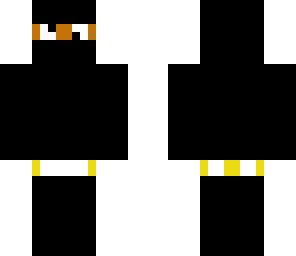 derpy ninja