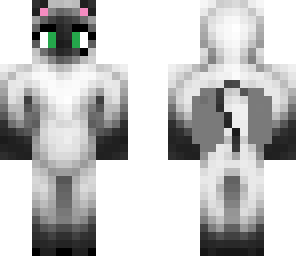 kitten