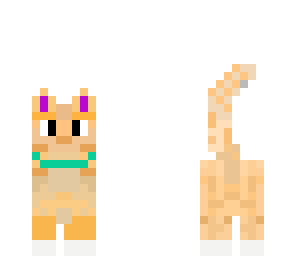 kitty