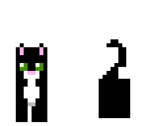 black cat