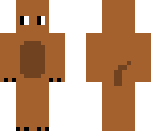 bear bear