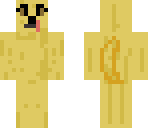 golden retriver