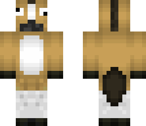horse crazy