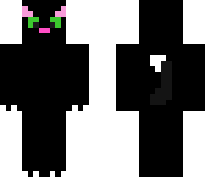 black cat
