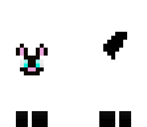 siamese cat