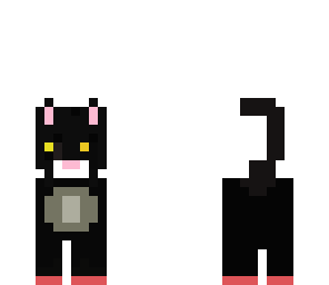 black cat