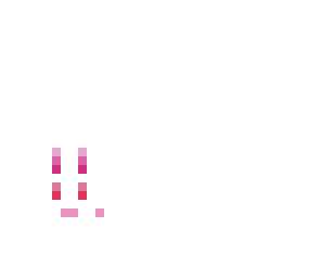 fat but cute bunny