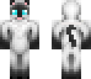 adorible cat