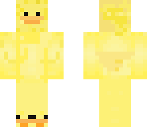 a duck