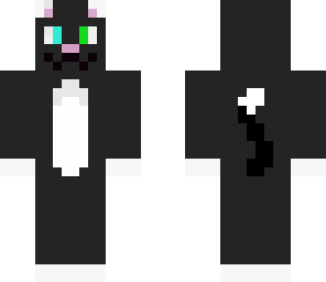 black and white cat