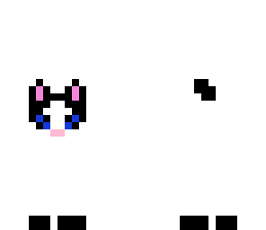cat hat
