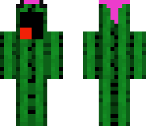 derpy cactus