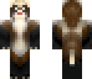 my ferret arrow