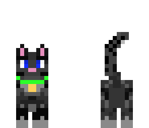 kitty
