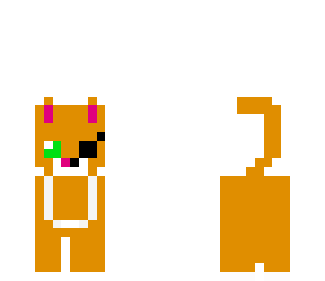 pirate kitty