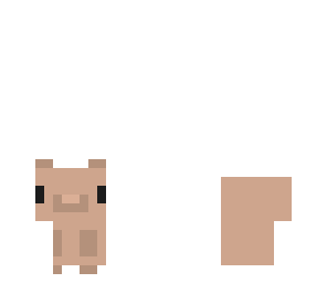 cute bear