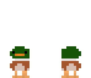 duck 