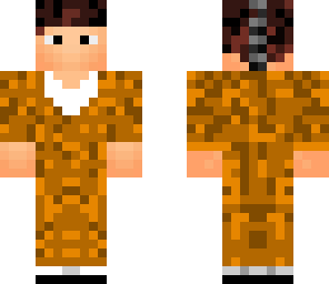 apeture skin