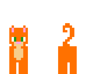 orange cat