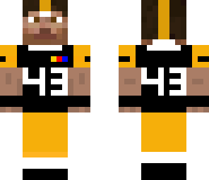 troy polomalu