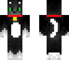 black cat