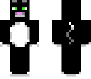 black cat
