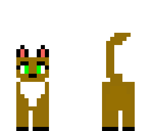 gato 11 likes