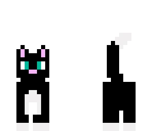 kitty cat