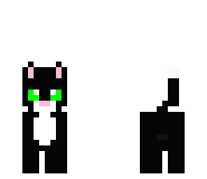 black cat