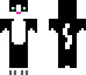 kitty cat