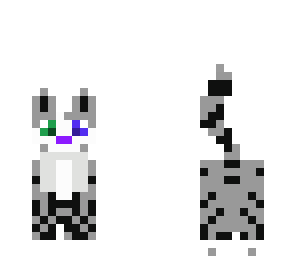 dog or cat