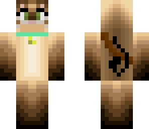 siamese cat 3