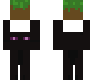 10 leiks enderman