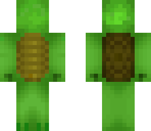 cute turtle