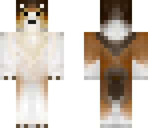 collie dog