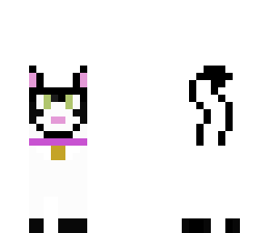 white cat