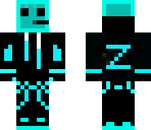skin