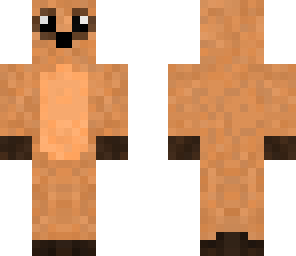 cute meerkat