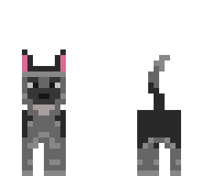perro