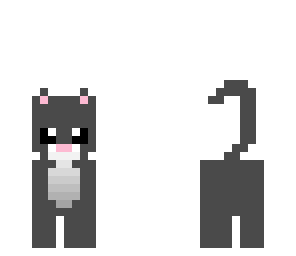 lil' gray kitty