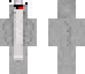dolphin