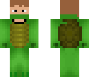 turtle