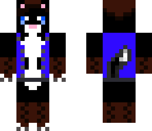 pirate cat