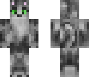 cat skin