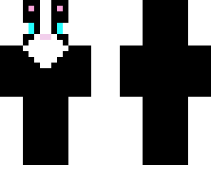 a cat