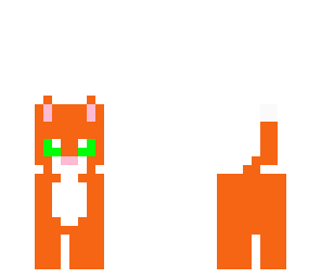 orange  cat