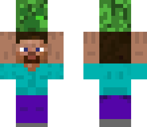 steve holding creeper head